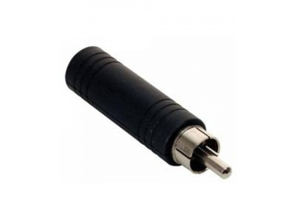 K309E