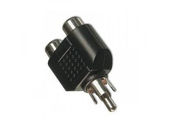 A313